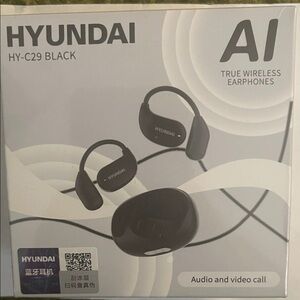 Hyundai HY-C29 Black Wireless Earphones